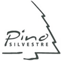 Pino Silvestre