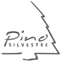 Pino Silvestre