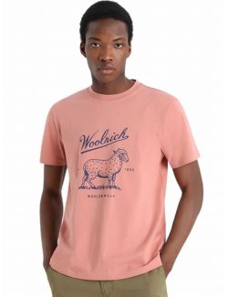 Woolrich - Woolrich - Muška majica sa printom - WTE0063MRUT2926-4355 WTE0063MRUT2926-4355