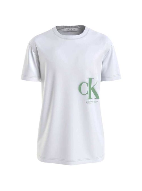 Calvin Klein - Calvin Klein - Muška majica kratkih rukava - CKJ30J322875-YAF