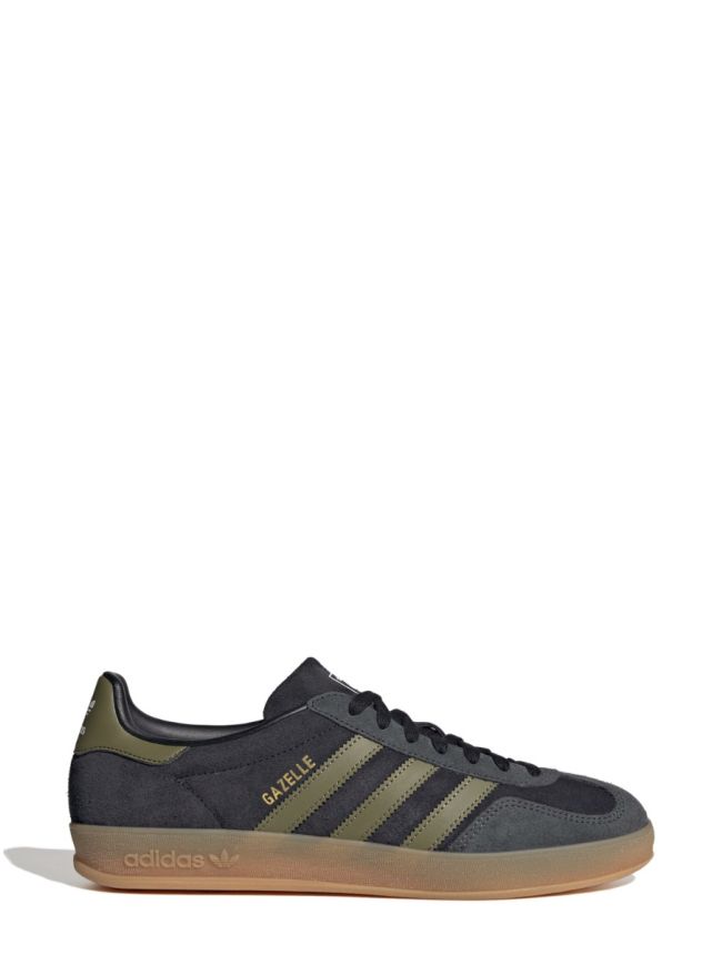 Gazelle indoor