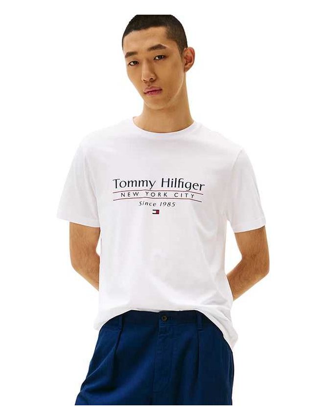 THMW0MW38621-YBR