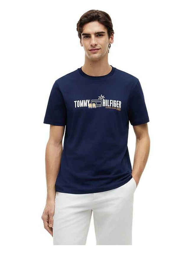THMW0MW43197-DCC