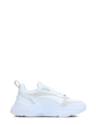 Puma cassia lux