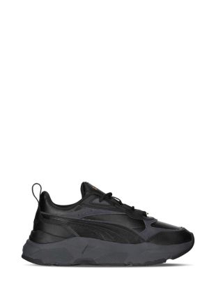 Puma cassia lux