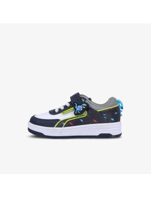 CHF251B107-02