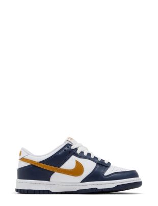 Nike dunk low bg