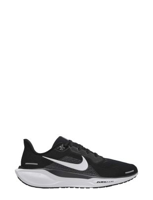 Air zoom pegasus 41 