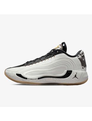 IB7903-100