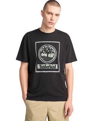 TA6DHD 001