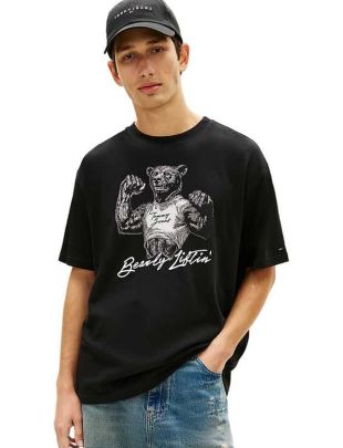 THDM0DM22543-BDS