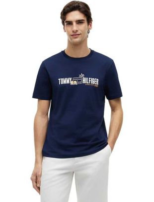 THMW0MW43197-DCC